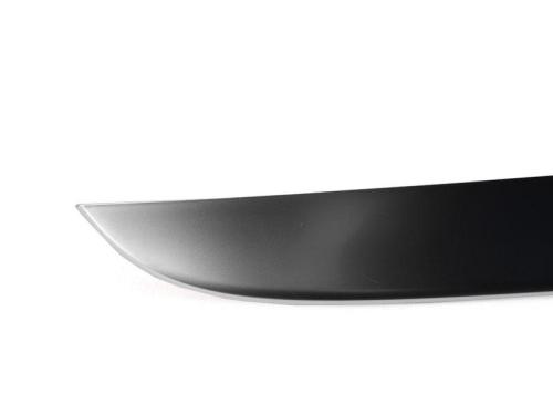 Trim strip for tailgate Ga 2